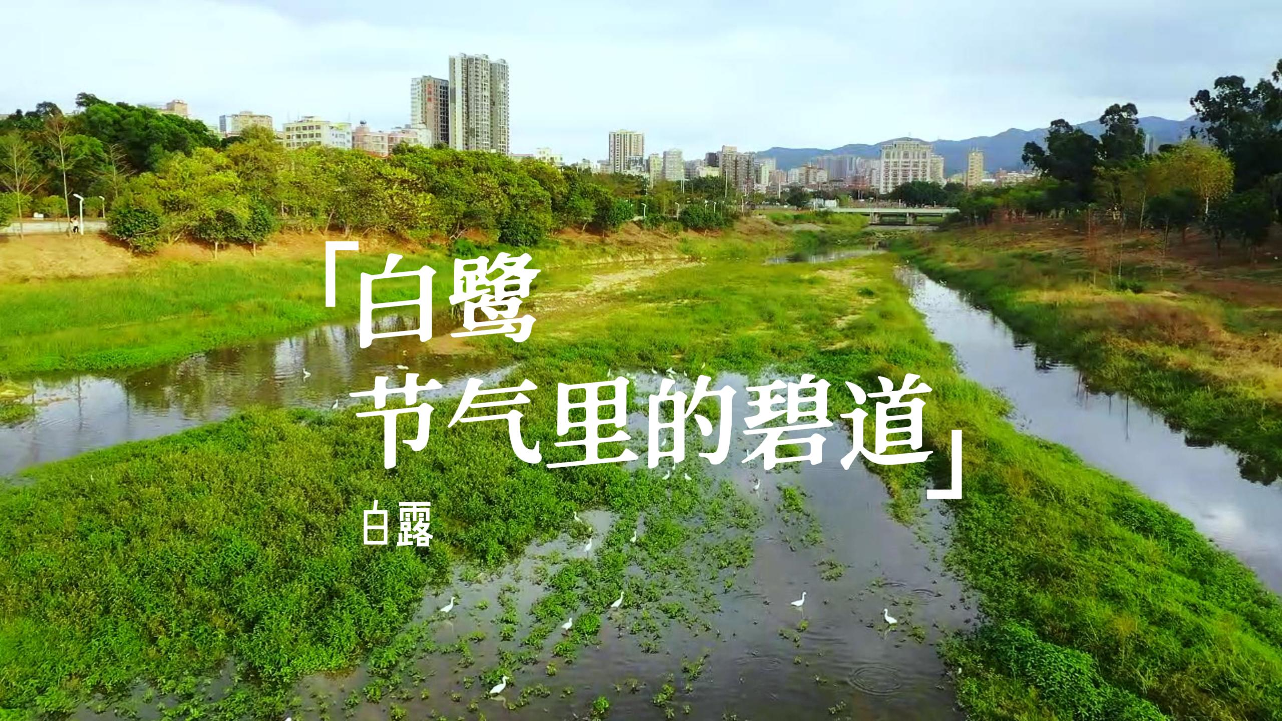 节气里的碧道·白露